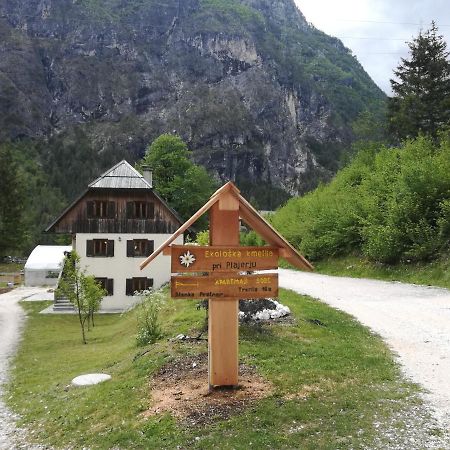 Ferienwohnung Organic Tourist Farm Pri Plajerju Trenta Exterior foto