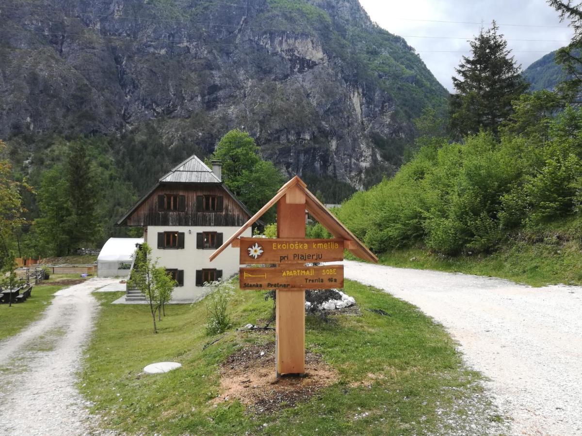 Ferienwohnung Organic Tourist Farm Pri Plajerju Trenta Exterior foto