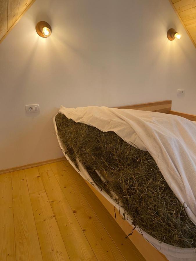 Ferienwohnung Organic Tourist Farm Pri Plajerju Trenta Exterior foto