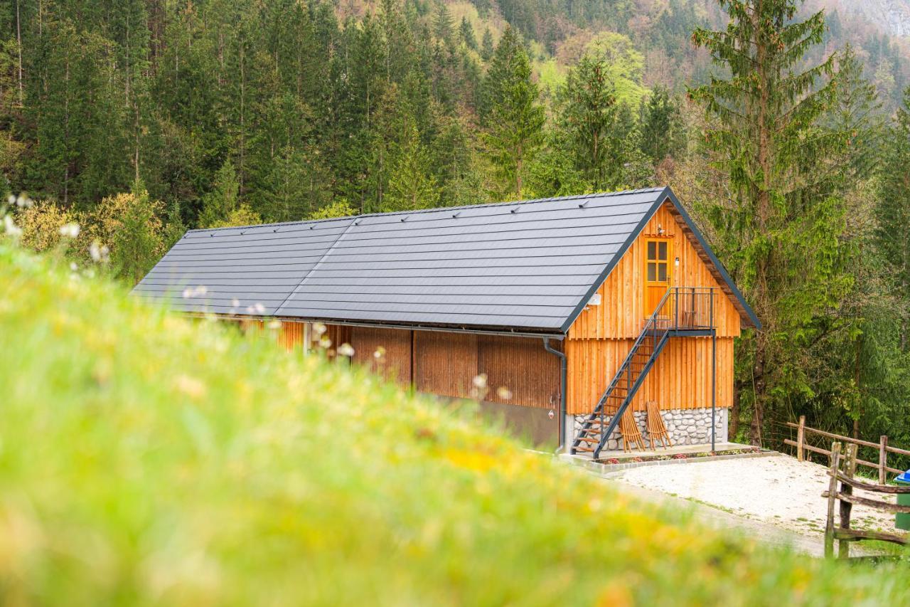 Ferienwohnung Organic Tourist Farm Pri Plajerju Trenta Exterior foto